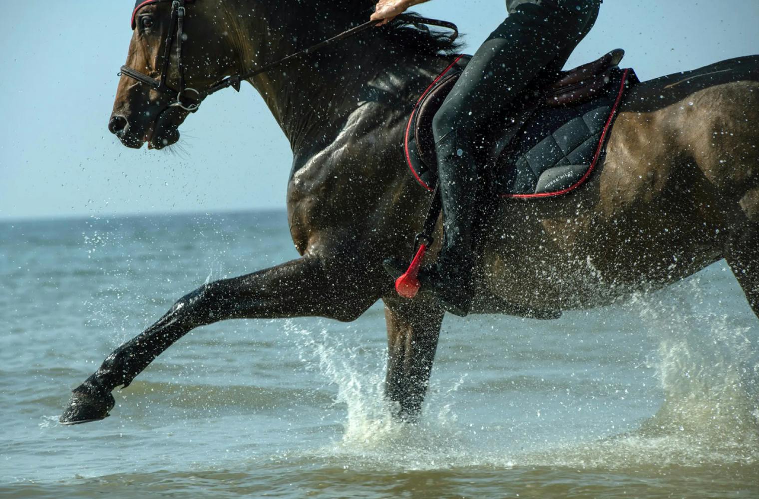 Horse riding ocean beach use utilisation